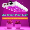 Lampa LED Full Spectrum - 108W 230V - do uprawy roślin