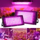 Lampa panel LED 50W - 230V - full spectrum - do uprawy roślin i kwiatów