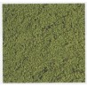 Heki 1611 Posypka (mikro-listowie) zielona 200ml